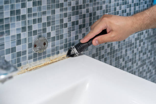 Best Localized Mold Remediation (e.g., coastal areas, humid climates) in Lewiston, MN